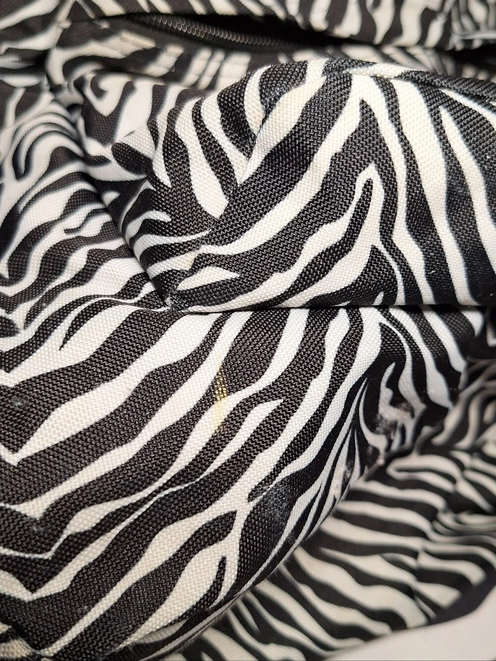 Jansport Backpack Zebra Black White w/ Purple Accents